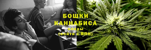крисы Медвежьегорск